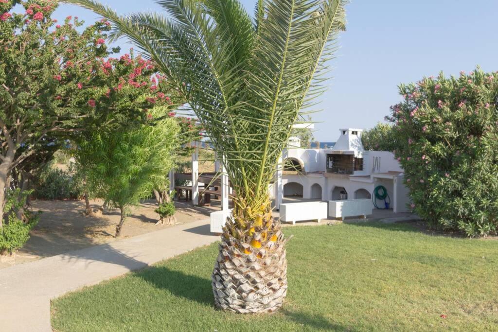 Renes Paradise Seahome - Afandou Beach, Rhodes 콜림비아 외부 사진